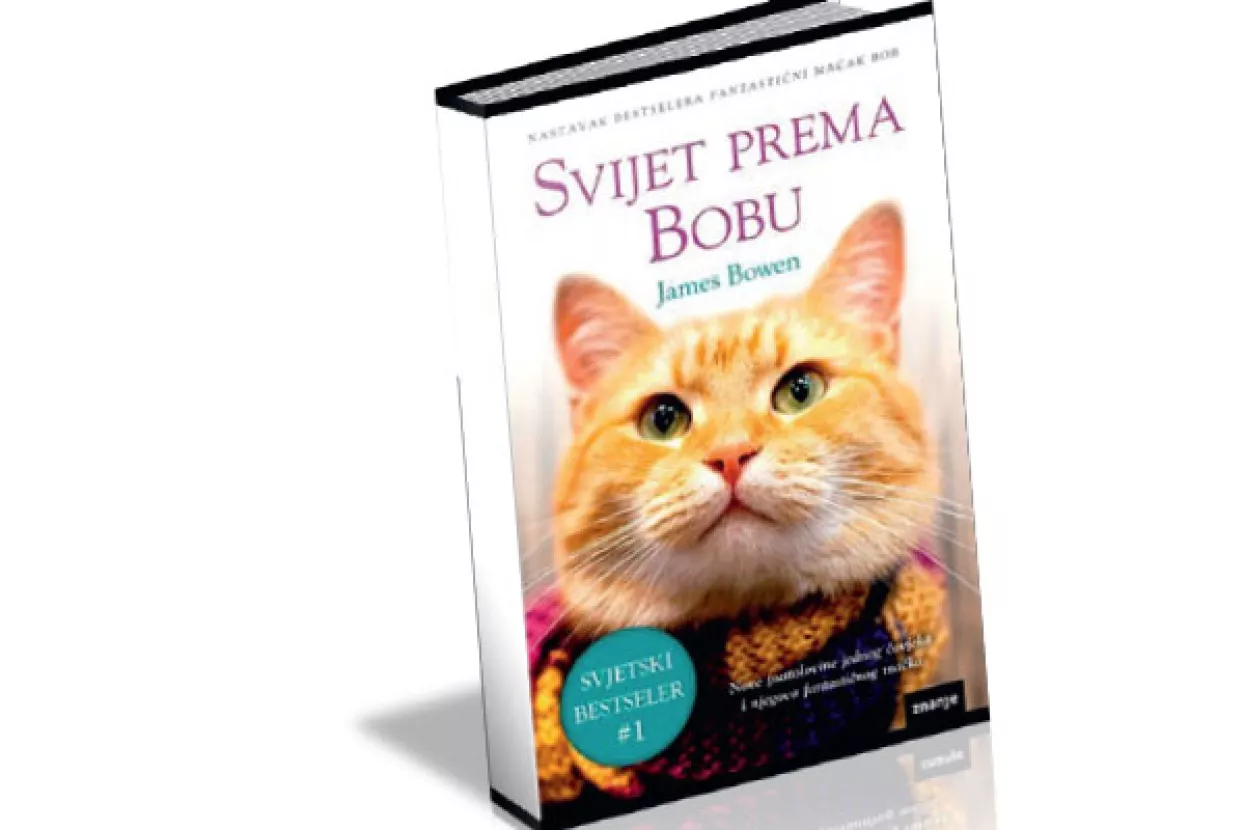 Nove mudrosti nevjerojatnog mačka Boba