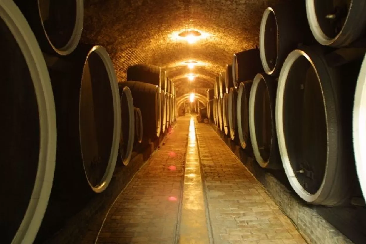 Tolušić izjednačio kontrolu domaćih i uvoznih vina