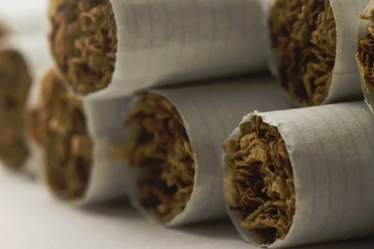 BAT: Iz tvornice u Kanfanaru izvoz na 19 trži&scaron;ta, Njemačka postaje najveće trži&scaron;te