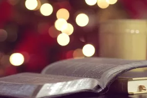 Hrvatska je postala blagdanska 'Zona besplatnog čitanja'