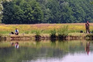 Nova tvornica za preradu ribe u Orahovici