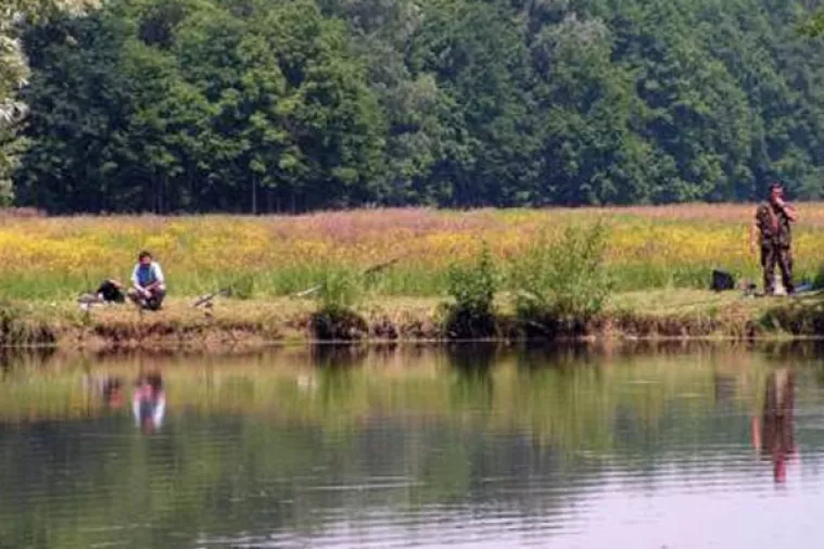 Nova tvornica za preradu ribe u Orahovici