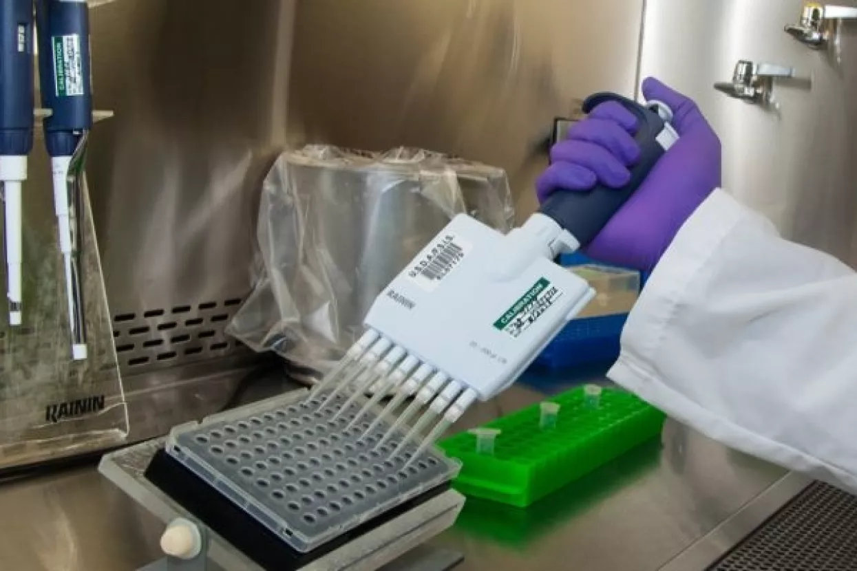 Rekordna potrošnja za istraživanja i razvoj u Njemačkoj