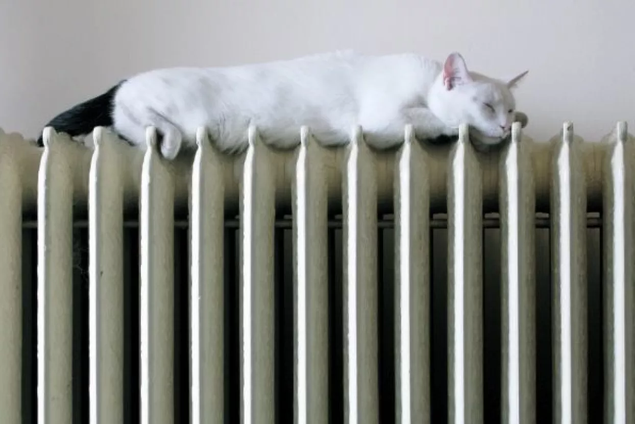 Ministarstvo traži odgovore na 'goruća pitanja', građane štedi od kazni zbog razdjelnika