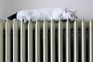 Ministarstvo traži odgovore na 'goruća pitanja', građane štedi od kazni zbog razdjelnika