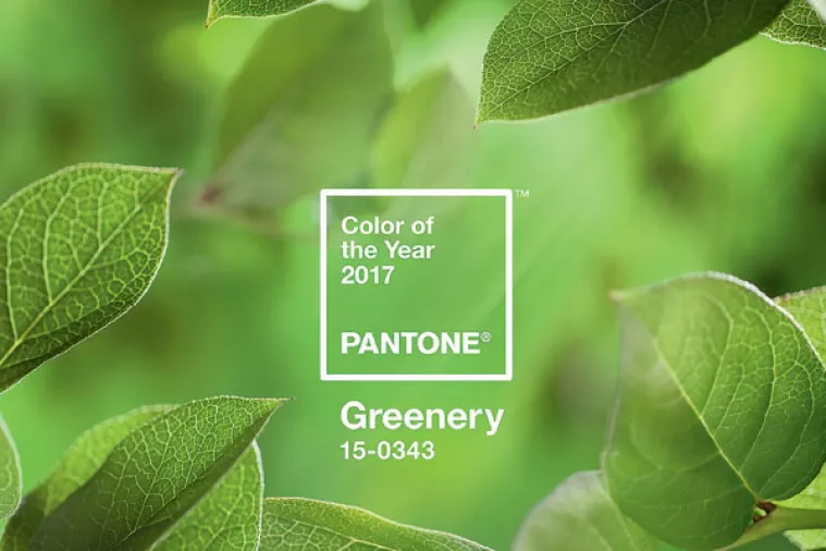 Zeleno: Boja ranog proljeća obilježit će 2017.