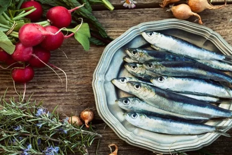 Tolušić izmijenio pravilnik za ribolov: Bit će srdela za Badnjak