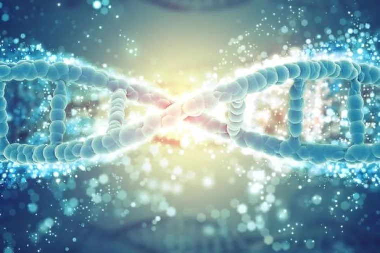 Svjetska banka: Hrvatska je nacija inovacija, društvo znanja