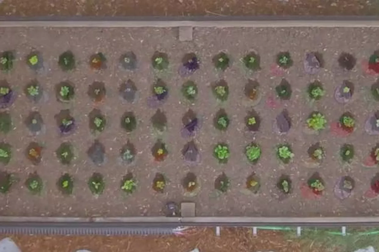 VIDEO: 'Open source' mašina za automatizaciju povrtnjaka razgrabljena prije tržišne premijere