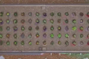 VIDEO: 'Open source' mašina za automatizaciju povrtnjaka razgrabljena prije tržišne premijere