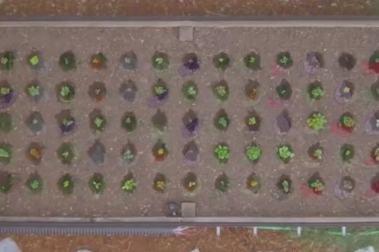 VIDEO: 'Open source' mašina za automatizaciju povrtnjaka razgrabljena prije tržišne premijere