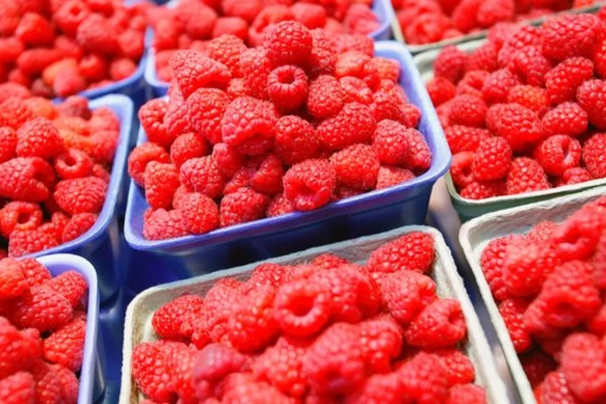 Počinje gradnja prve moderne hladnjače u većinskom javnom vlasništvu