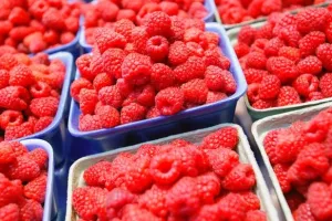 Počinje gradnja prve moderne hladnjače u većinskom javnom vlasništvu