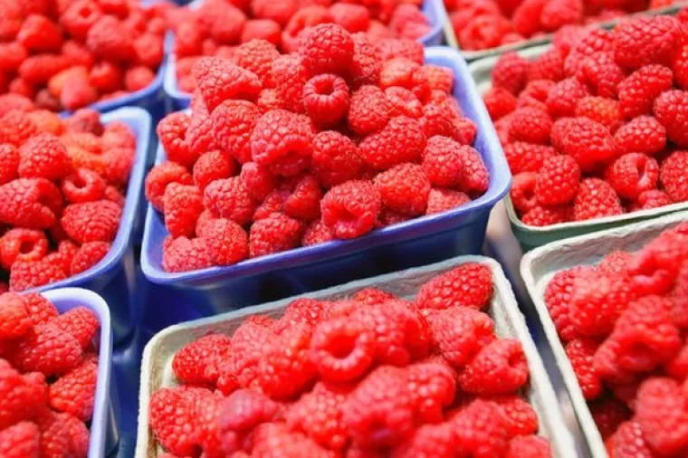 Počinje gradnja prve moderne hladnjače u većinskom javnom vlasništvu