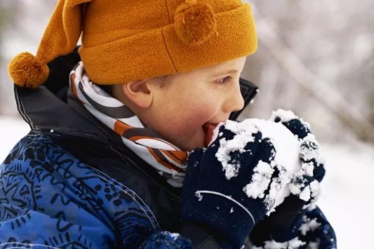 Nemojte jesti prvi snijeg