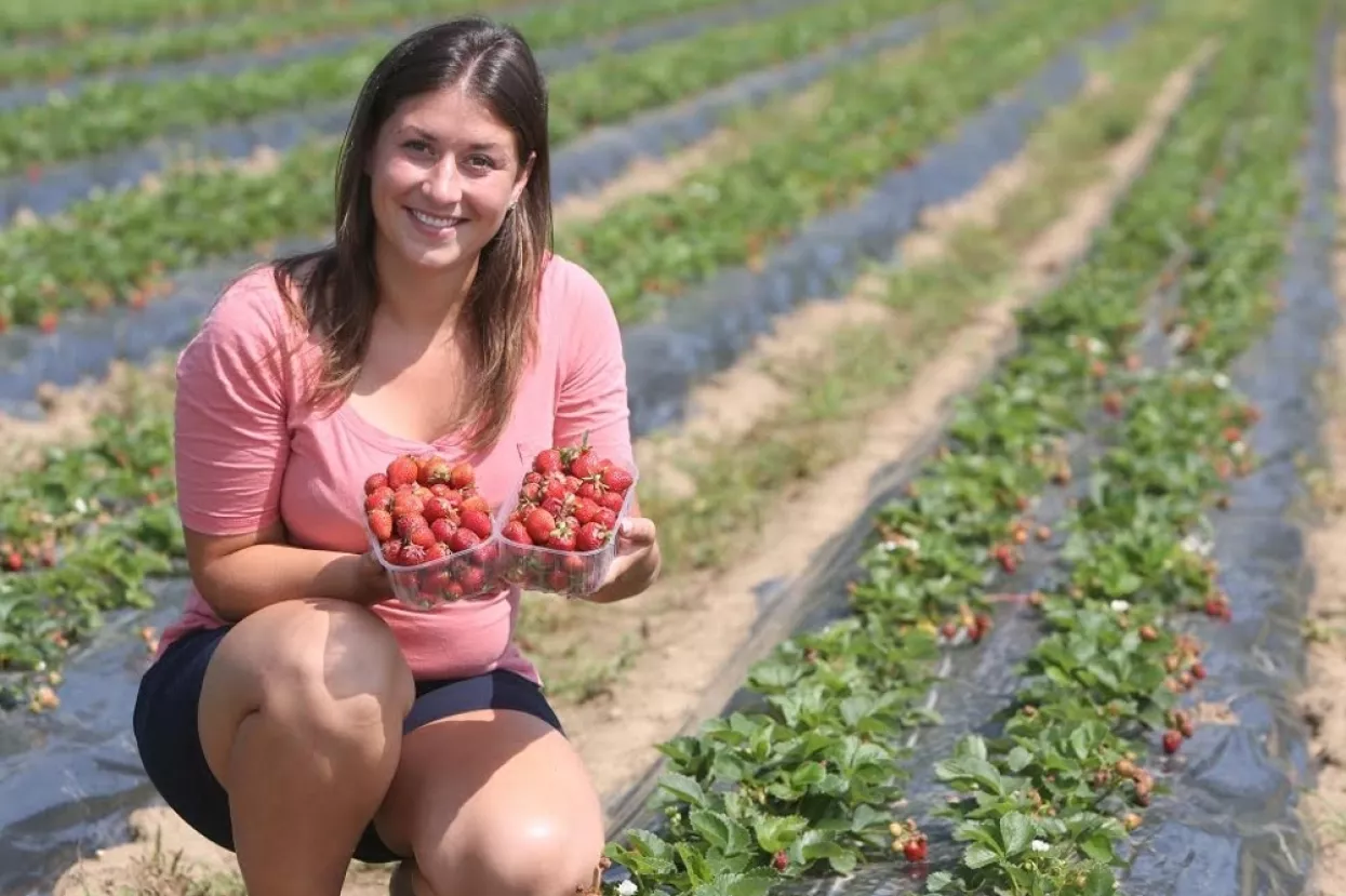 dm odlučio prodavati hrvatski ekološki grah