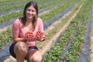 dm odlučio prodavati hrvatski ekološki grah