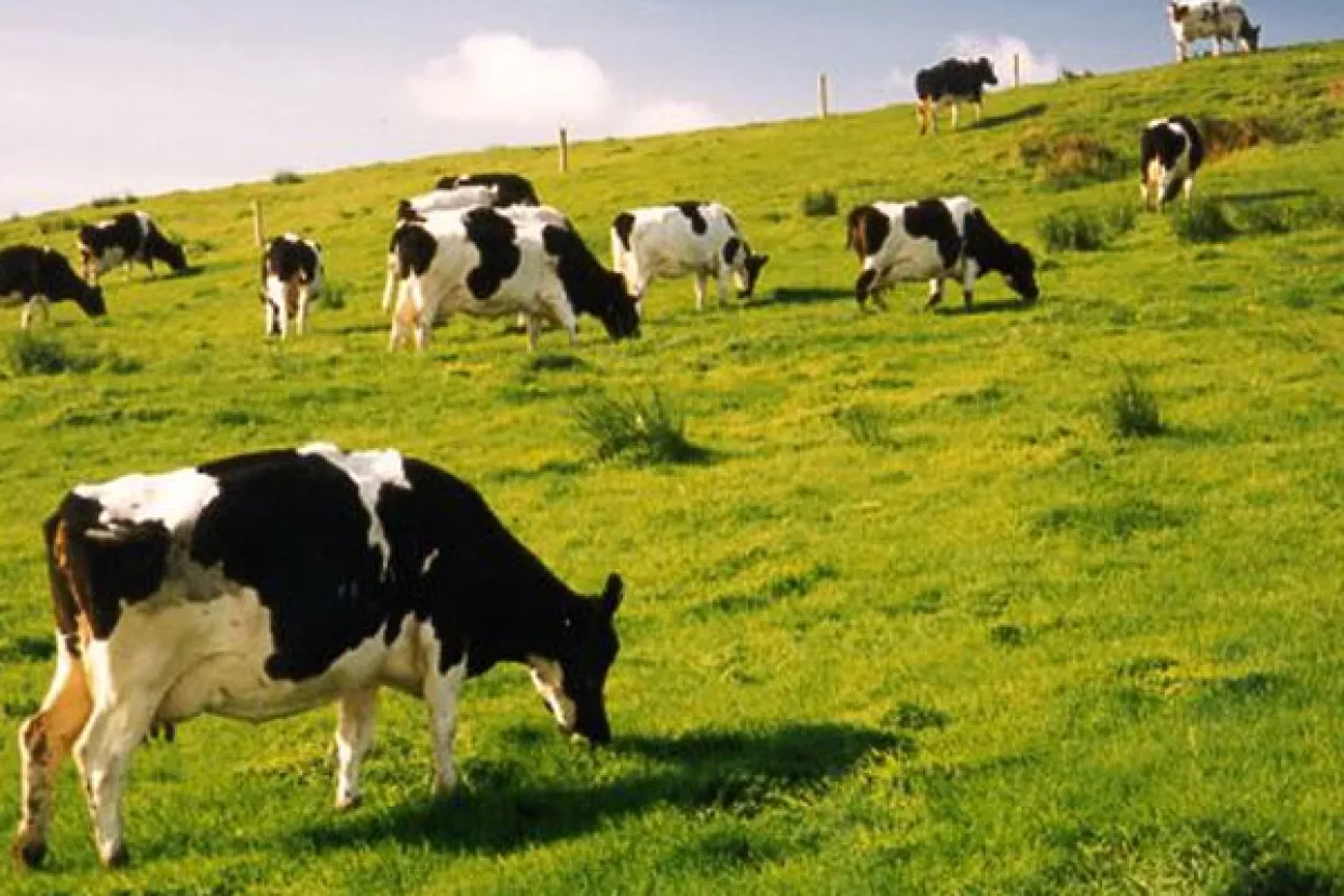 Pravda za sve: Rješenja za poticaje treba donositi prije prve isplate