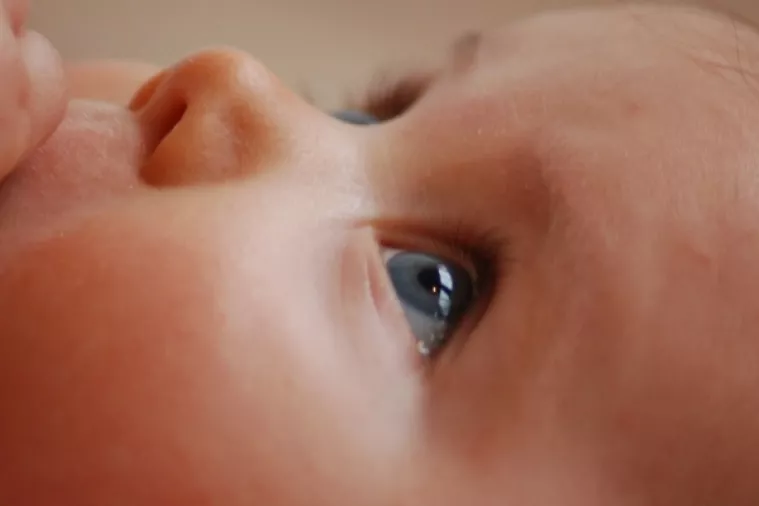 Na svijet dolazimo s osjećajem za pravdu, bebe već sa šest mjeseci prepoznaju heroizam