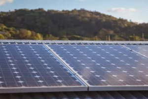 Kinezi i Nijemci zainteresirani za izgradnju masivnih solarnih parkova u Černobilu