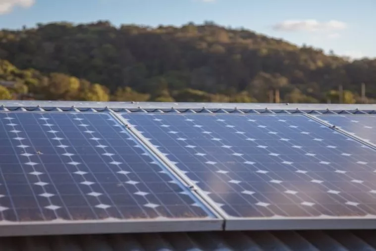 Kinezi i Nijemci zainteresirani za izgradnju masivnih solarnih parkova u Černobilu