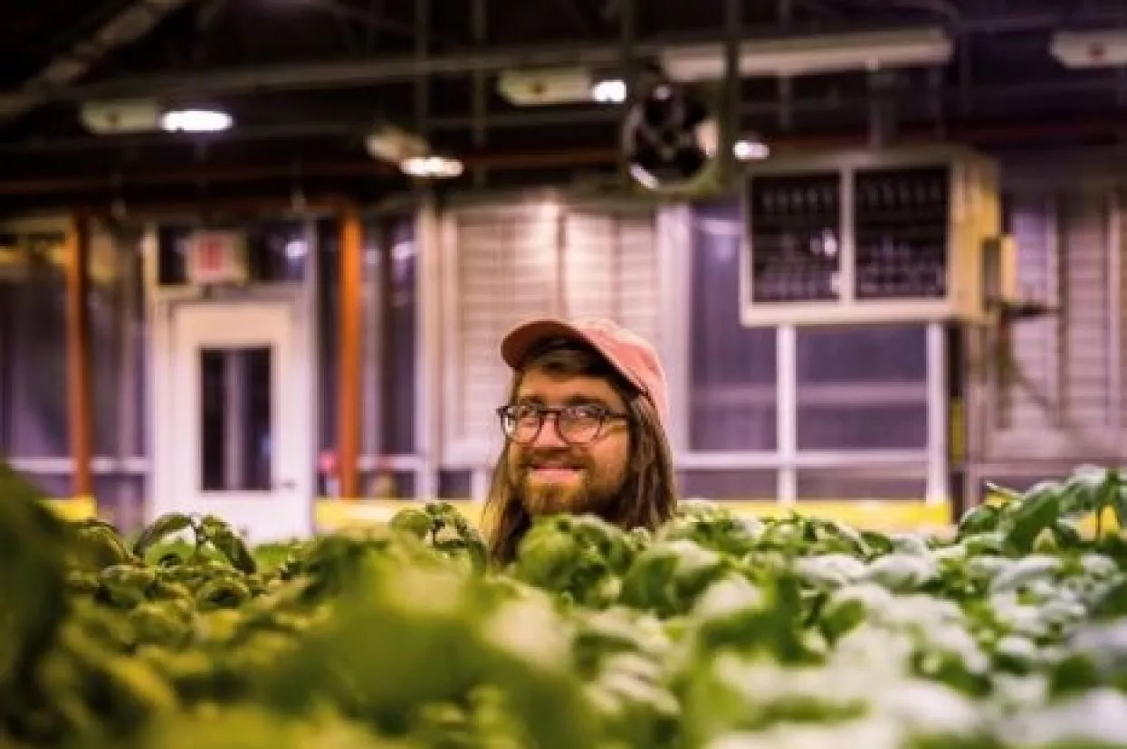 Od pokreta do biznisa: Brooklyn meka za uzgoj voća i povrća na krovovima