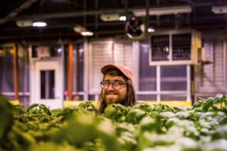 Od pokreta do biznisa: Brooklyn meka za uzgoj voća i povrća na krovovima