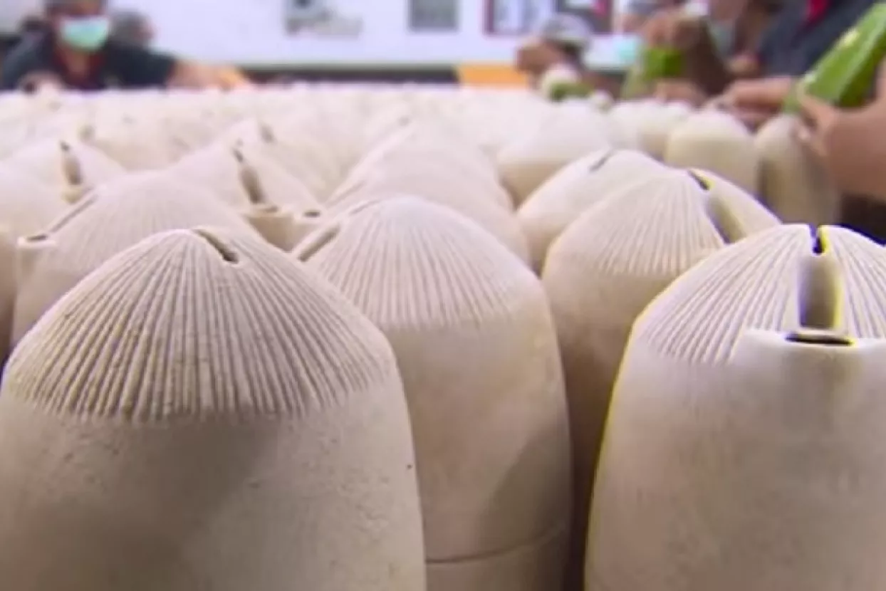 Tvornicu CD-a pretvorio u pogon za proizvodnju biorazgradive ambalaže