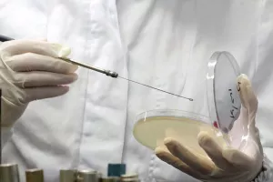 Novi slučaj salmonele: Ministarstvo poljoprivrede naredilo povlačenje zamrznutih pilećih prsa iz Tajlanda