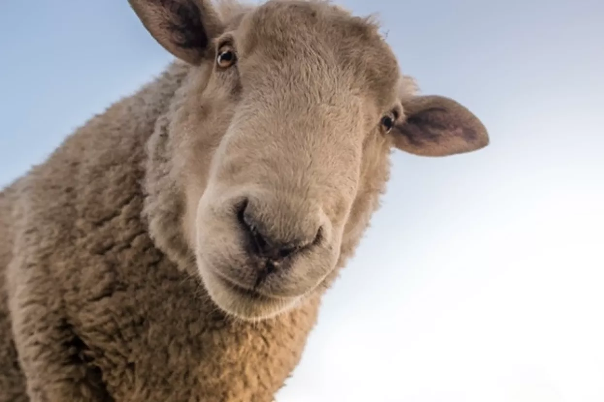 Hrvatski obrtnici na sajmu u Münchenu