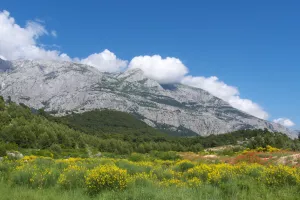 Za suzbijanje požara šumari Hrvatske i BiH u pet godina utrošili 652 tisuća eura