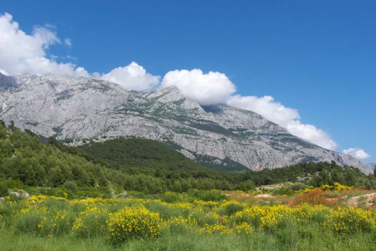 Za suzbijanje požara šumari Hrvatske i BiH u pet godina utrošili 652 tisuća eura