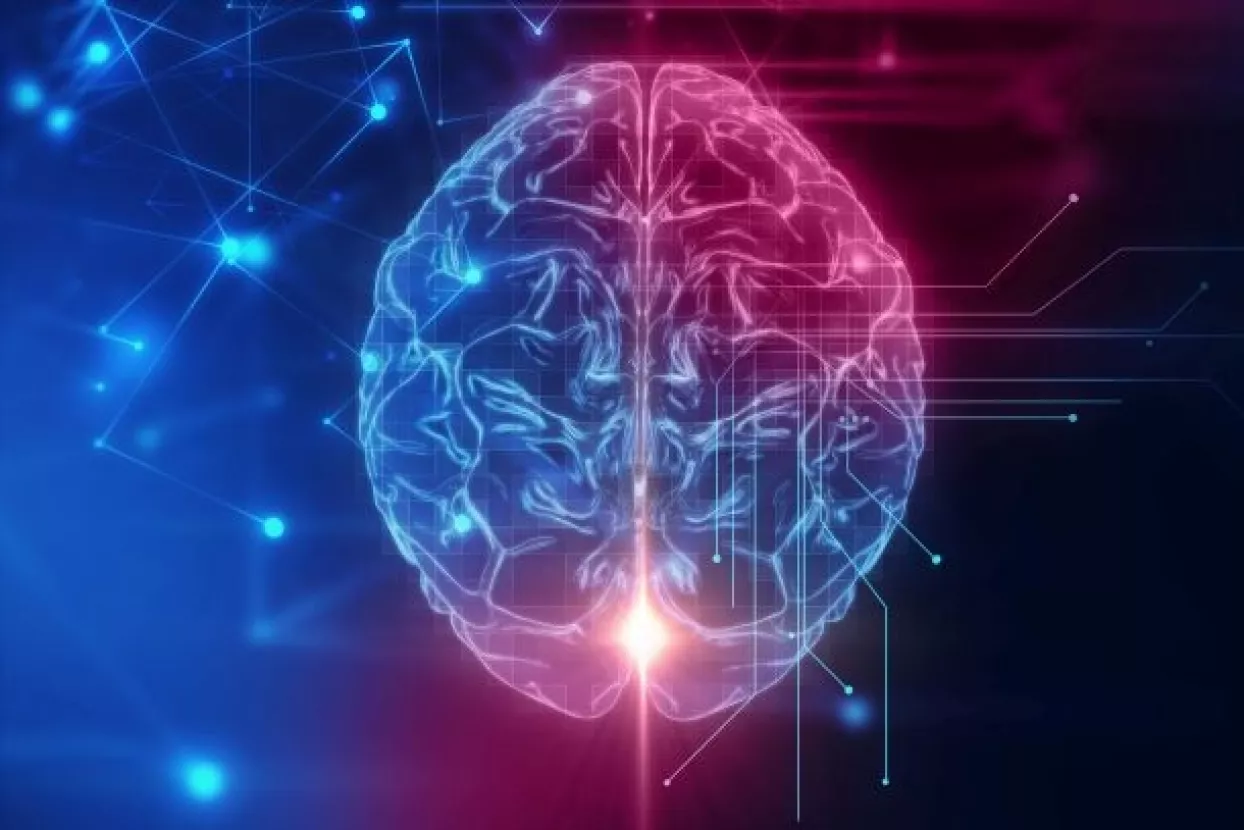 Znanstvenici detektirali moždanu aktivnost desetak minuta nakon smrti