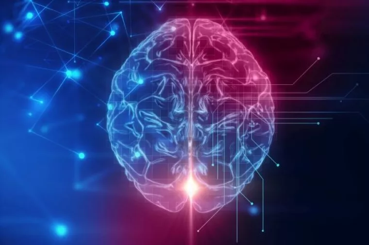 Znanstvenici detektirali moždanu aktivnost desetak minuta nakon smrti