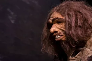 Neandertalci su koristili aspirin kao rješenje za zubobolju