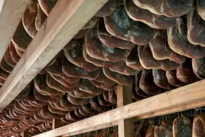 Mesna industrija Braća Pivac gradi pršutanu u Gospodarskoj zoni Ravča