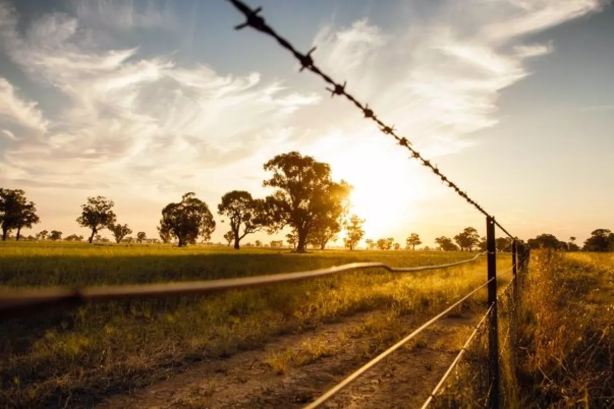 Kako globalni biznis odgovara na političko dizanje žica i zidova