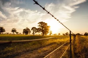 Kako globalni biznis odgovara na političko dizanje žica i zidova