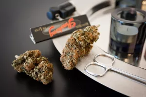 Posao s kanabisom doseže rekordne brojke u SAD-u, a Kanada kreće s legalizacijom