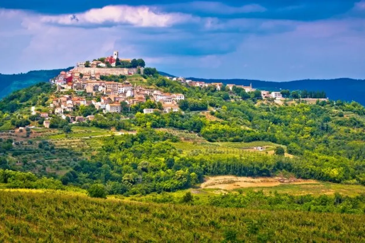 Šveđani proglasili Istru vinskom regijom godine