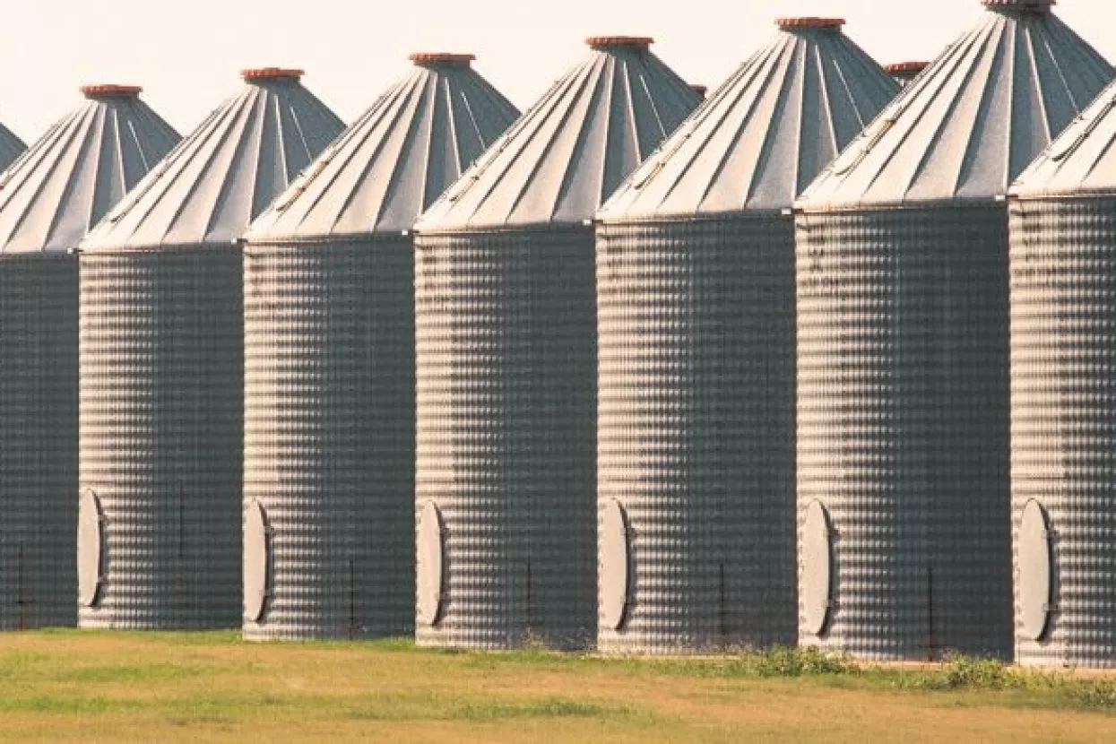 Vrijeme obilja: 'Akutni' nedostatak skladišnog prostora za žitarice diljem svijeta
