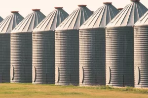 Vrijeme obilja: 'Akutni' nedostatak skladišnog prostora za žitarice diljem svijeta