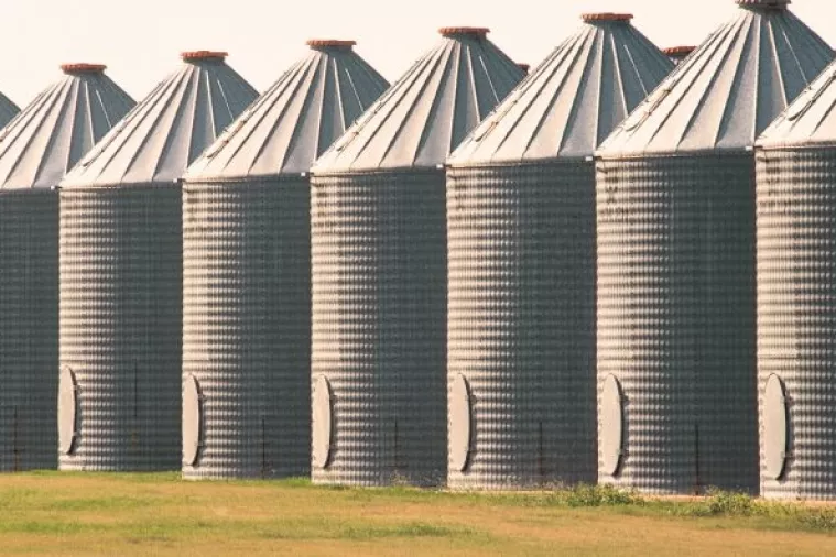 Vrijeme obilja: 'Akutni' nedostatak skladišnog prostora za žitarice diljem svijeta