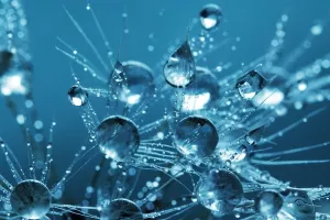 Sve smo vještiji u 'stvaranju' vode iz zraka