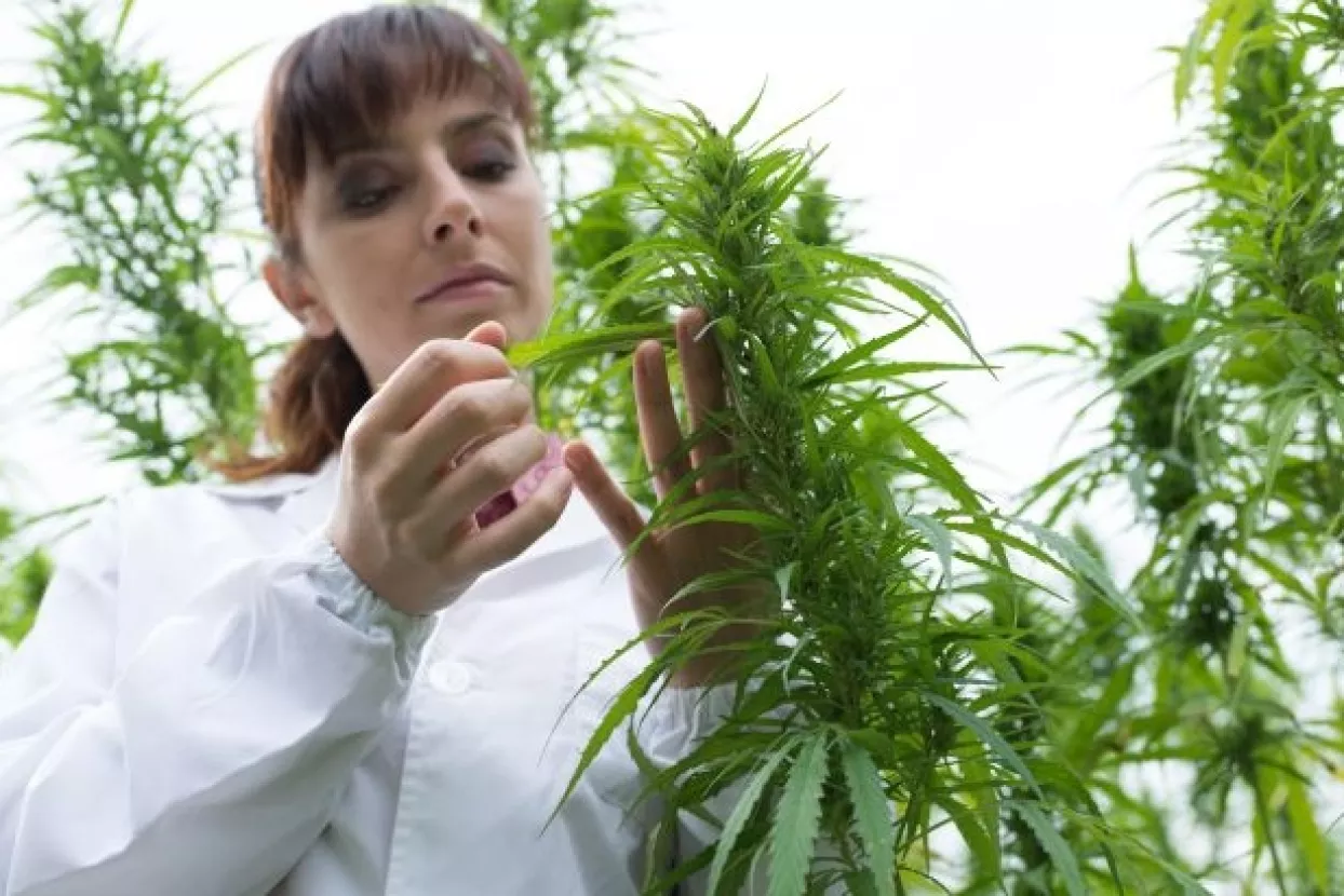 Prošle godine 646 novih doktora znanosti, muškarci u manjini