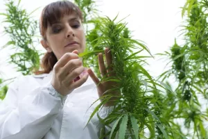 Prošle godine 646 novih doktora znanosti, muškarci u manjini