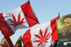 Trudeau predstavio zakon za legalizaciju marihuane u Kanadi