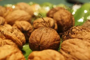 Proizvodnja oraha lani urušena za rekordnih 86,1 posto