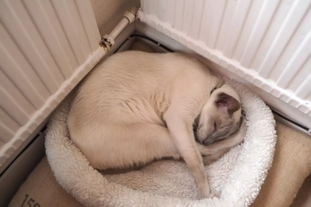 Uvođenje razdjelnika topline nije ekonomski isplativo