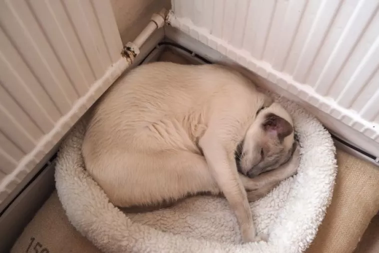 Uvođenje razdjelnika topline nije ekonomski isplativo